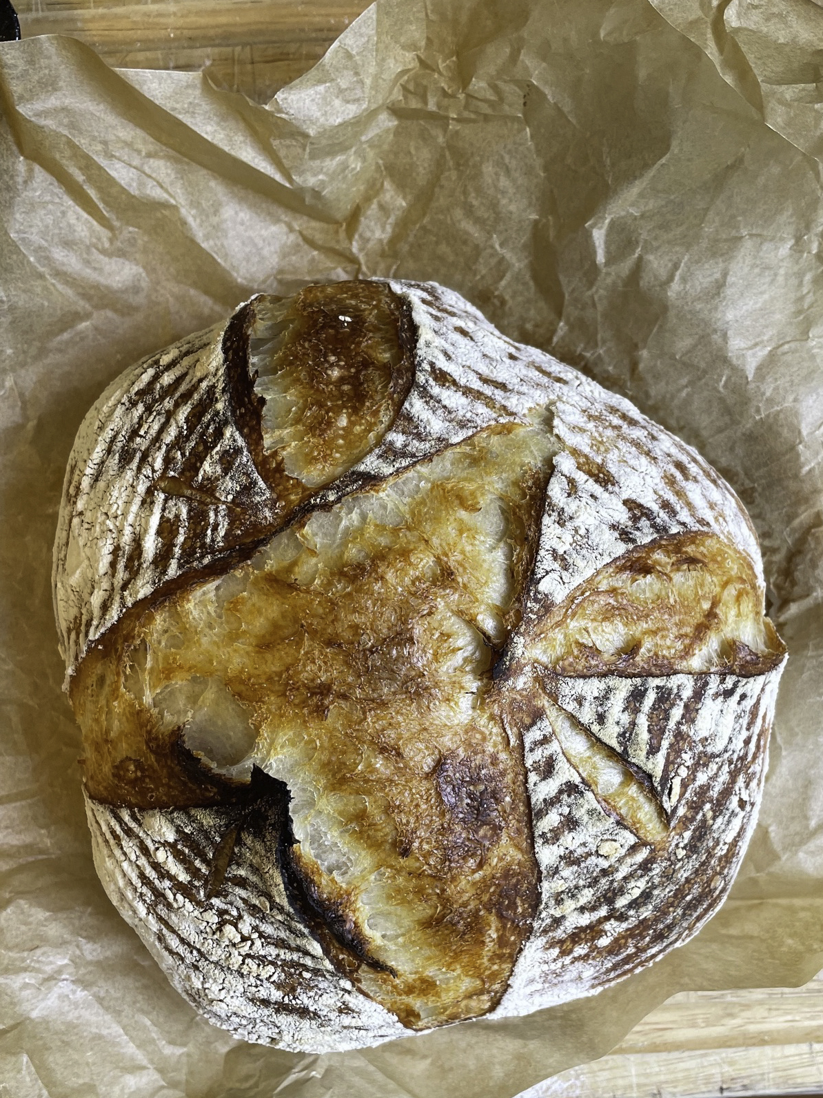 fresh baked bread